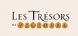 Les Trésors de Victoire website wordmark with nugget-stamped letters